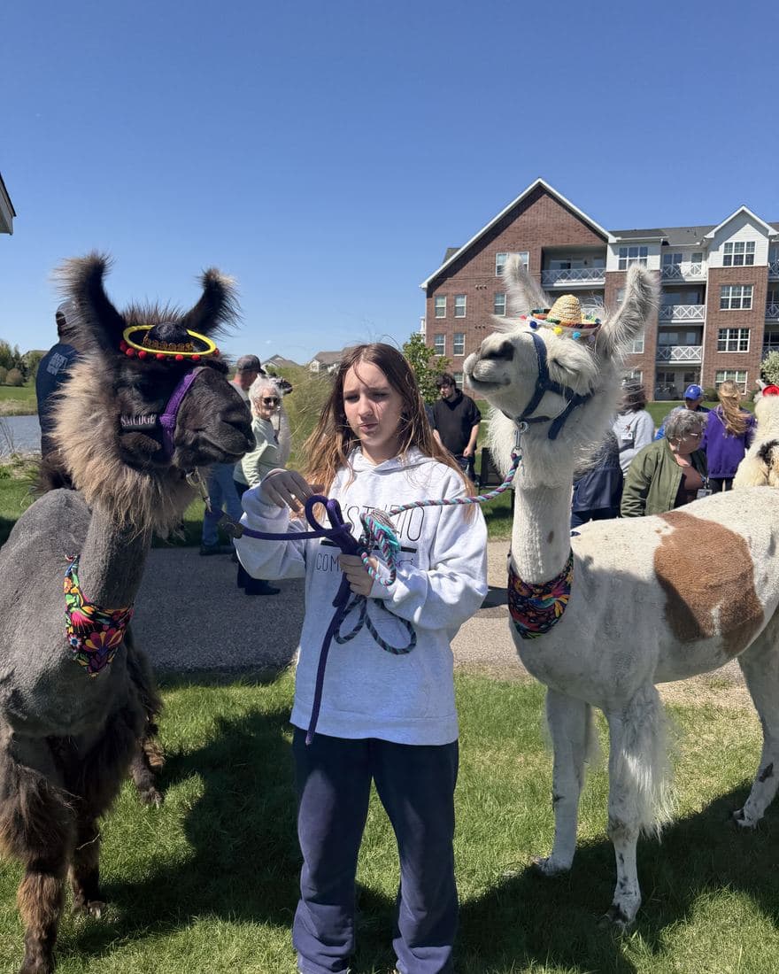 A young visitor holding two llamas, one in a tinsel halo and one in a small hat, at an outdoor gathering.