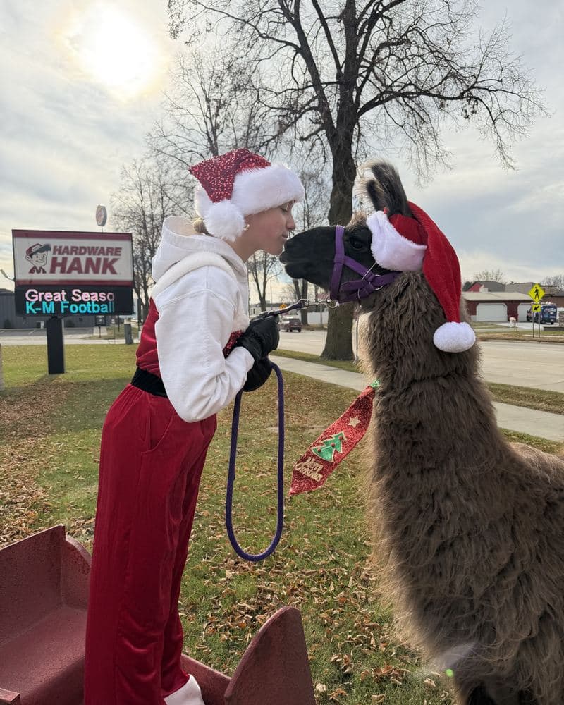 A llama in a Santa hat getting a kiss from someone in a Santa suit.