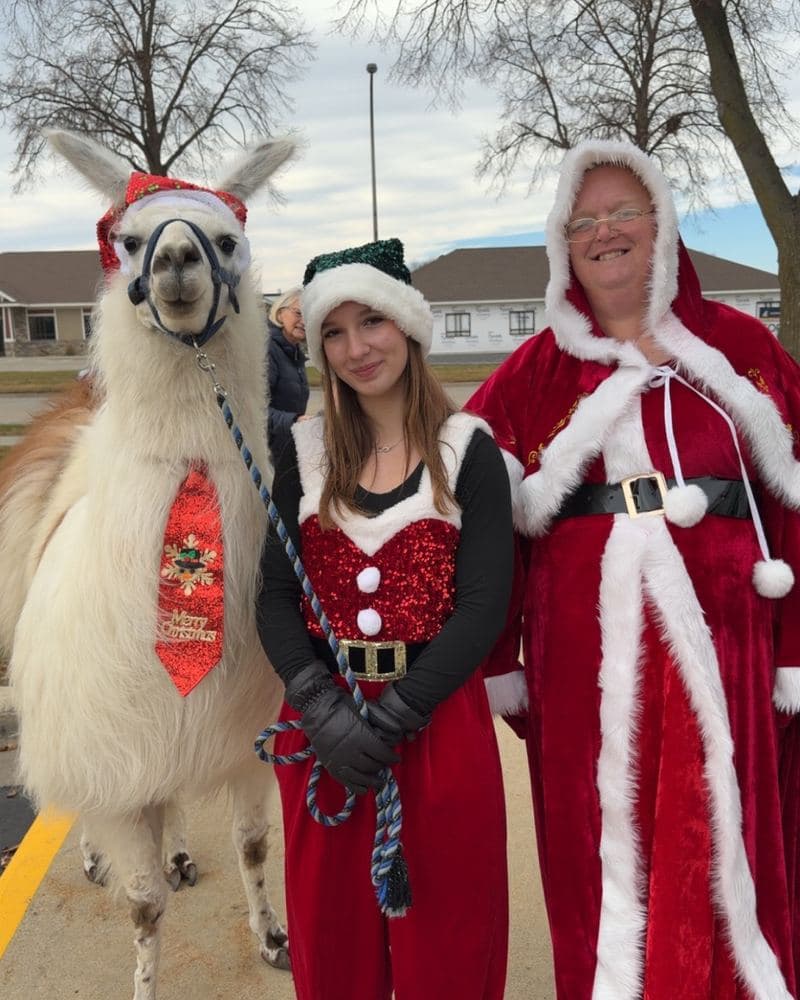 A llama in a Santa hat and Christmas tie, standing with two people dressed as Santa.